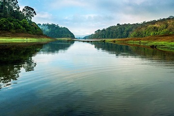 Periyar National Park India